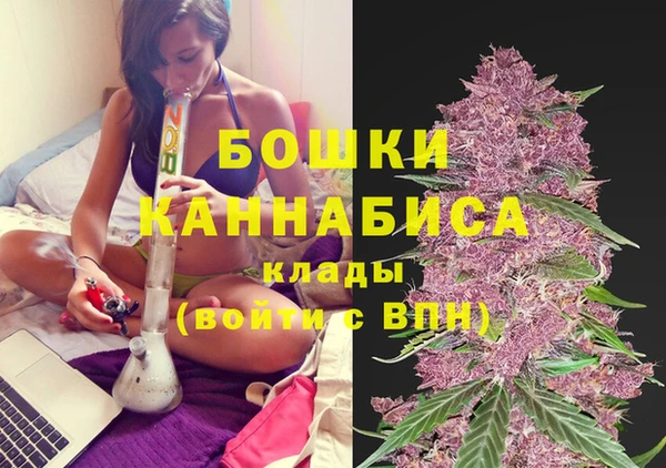 дмт Архангельск