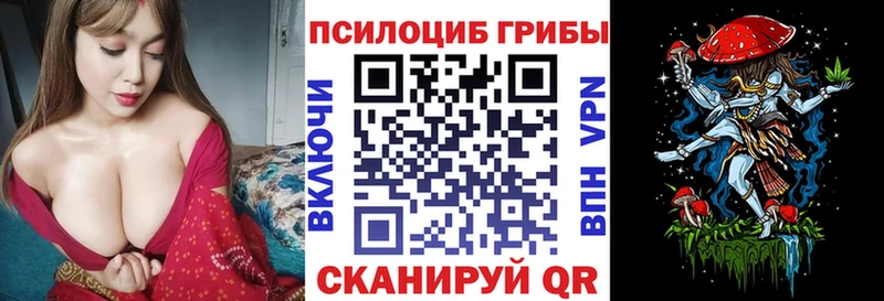 Галлюциногенные грибы Psilocybe  Купить  Зеленодольск 