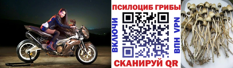 Псилоцибиновые грибы прущие грибы Зеленодольск